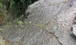 我生在一个小山村