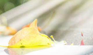 怪盗基德预告函头像