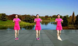 自由飞翔的网名女 广场舞自由飞翔24步