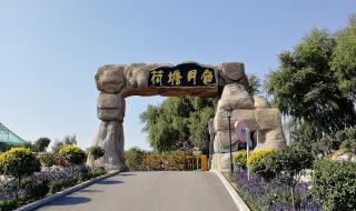 荷塘月色歌词 格格广场舞荷塘月色