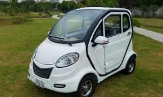 一万元油电两用电动汽车哪种好 一万多四轮电动车