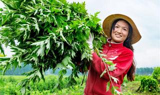 湖北省蕲春县属于哪个市 湖北省黄冈市蕲春县