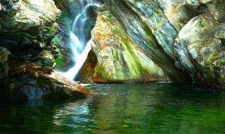 神秘花园的简谱 神秘花园钢琴谱