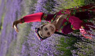 新疆伊犁地区天然气安装费用是多少 最近新疆伊犁咋了