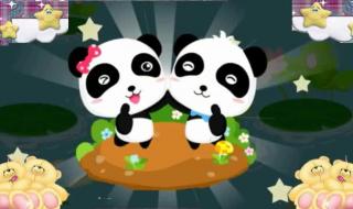 花园宝宝相对应的动画片 字宝宝乐园动画片