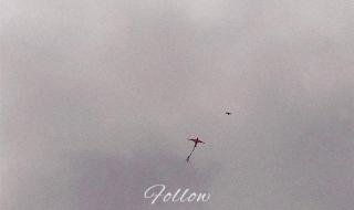 wiz张子豪个人资料