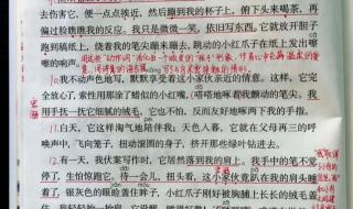 珍珠鸟课堂笔记图片