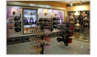 夏娃之秀内衣和魔力挺的区别 夏娃之秀内衣怎么样