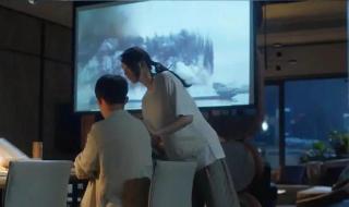 21年奥运会共多少天 21年东京奥运会情况